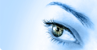 Envision a Perfect Web Site